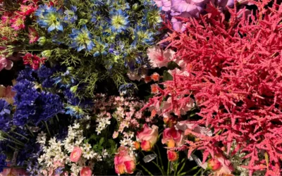 Qlasse Verhuizing: Een Nieuw Avontuur in Onze Nieuwe Showroom